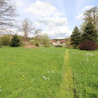 Prodej stavební parcely 2 291 m² Volfartice