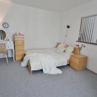 Pronájem bytu 1+1 28 m² Liberec IX-Janův Důl, Americká