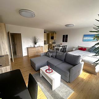 Prodej bytu 1+kk, garsoniery 42 m&sup2; Praha