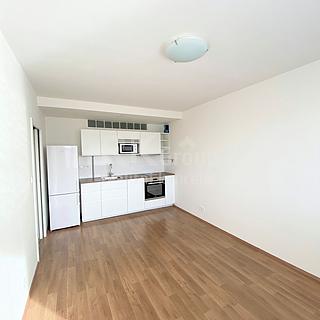 Pronájem bytu 2+kk 42 m² Praha