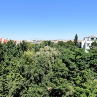 Pronájem bytu 1+1 41 m² Praha