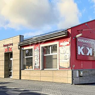 Pronájem ostatního komerčního prostoru 734 m² Velká Hleďsebe, Pohraniční stráže