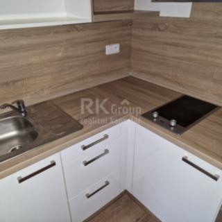 Pronájem bytu 1+kk a garsoniéry 21 m² Slaný, Wilsonova