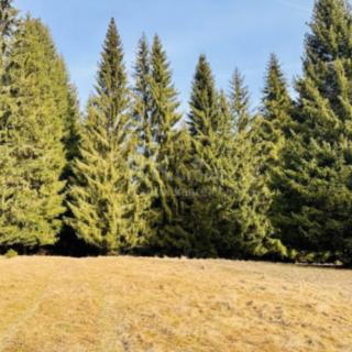 Prodej stavební parcely 406 m² Lázně Kynžvart