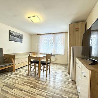 Prodej bytu 1+kk, garsoniery 27 m&sup2; Podluhy