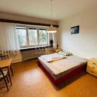 Pronájem bytu 1+1 45 m² Praha