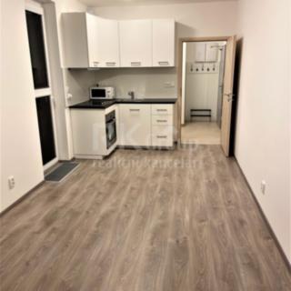 Prodej bytu 1+kk, garsoniery 31 m² Praha