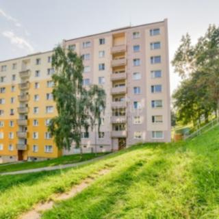 Prodej bytu 2+1 59 m² Cheb, Dřevařská