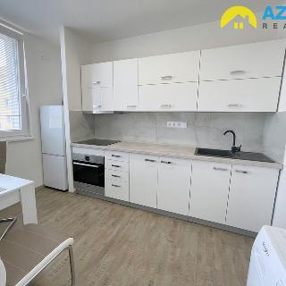 Pronájem bytu 2+1 44 m² Přerov