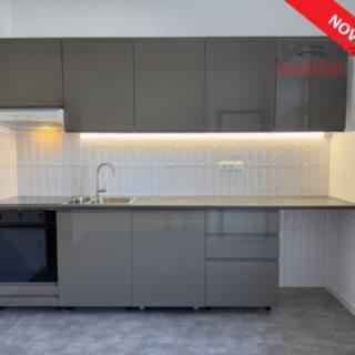 Pronájem bytu 1+1 49 m² Brno Veveří, Kotlářská