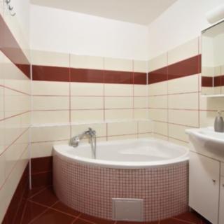 Pronájem bytu 2+1 56 m² Chomutov, 17. listopadu