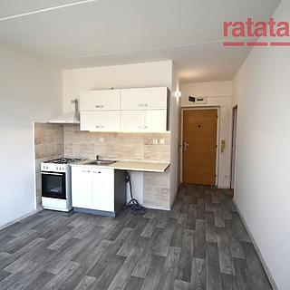 Pronájem bytu 1+1 41 m² Klášterec nad Ohří, Olšová