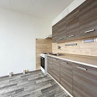 Pronájem bytu 1+1 36 m² Chomutov, Borová