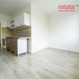 Pronájem bytu 2+1 63 m² Chomutov, Dřínovská