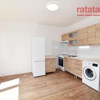 Pronájem bytu 1+1 33 m² Chomutov, Březenecká