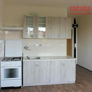 Pronájem bytu 1+1 36 m² Jirkov