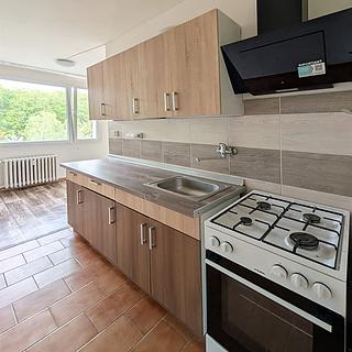 Pronájem bytu 2+1 60 m² Chomutov, 17. listopadu