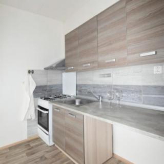 Pronájem bytu 1+1 35 m² Jirkov, Červenohrádecká