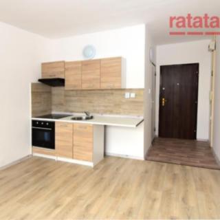Pronájem bytu 1+1, 33m²