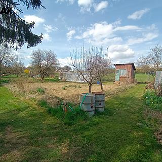 Prodej zahrady 271 m² Pacov