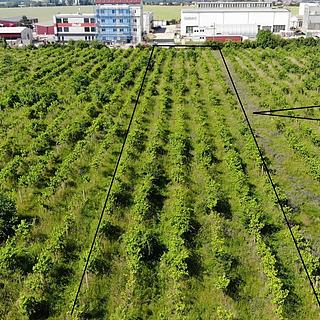 Prodej komerčního pozemku 2 465 m² Brno Chrlice