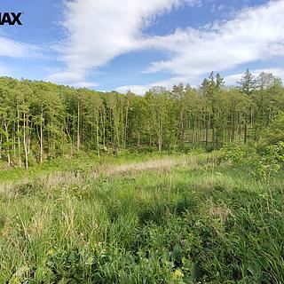 Prodej lesa 17 681 m² Číměř