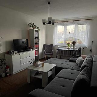 Pronájem bytu 3+1 61 m² Nová Cerekev