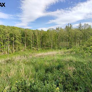 Prodej lesa 17 681 m² Číměř
