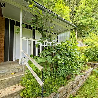 Prodej chaty 19 m&sup2; Jemnice