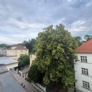 Pronájem bytu 2+kk 32 m² Brno