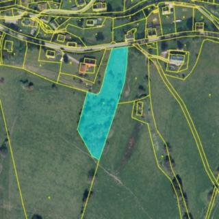 Prodej ostatních pozemků 7674 m² Bartošovice v Orlických horách