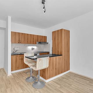 Pronájem bytu 2+kk 54 m² Hradec Králové Pražské Předměstí, Antonína Dvořáka