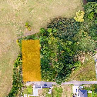 Prodej louky 1 212 m² Česká Lípa Stará Lípa