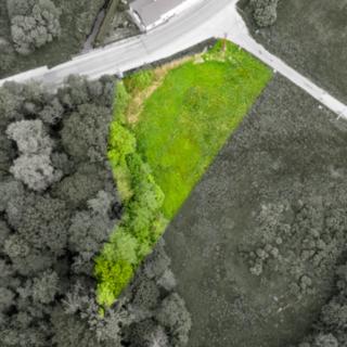 Prodej stavební parcely 1 999 m² Nový Bor Bukovany