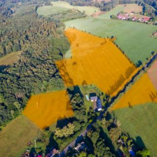 Prodej louky 101 056 m² Zákupy Lasvice