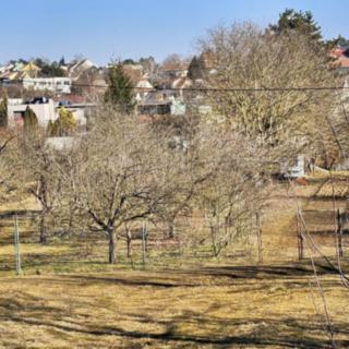Prodej stavební parcely 523 m² Brno Líšeň, Střelnice