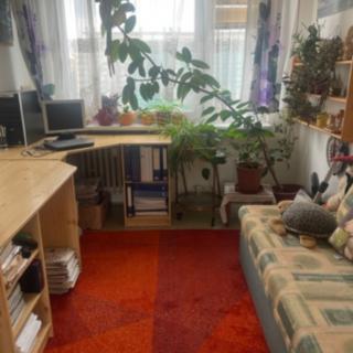Pronájem pokoje 20 m² Praha