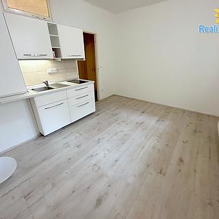 Pronájem bytu 1+kk a garsoniéry 20 m² Praha Žižkov, Baranova