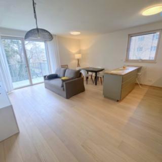 Pronájem bytu 2+kk 58 m² Černošice