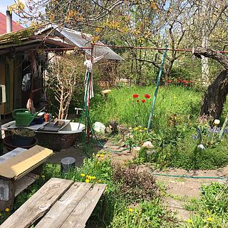 Pronájem zahrady 400 m&sup2; Praha