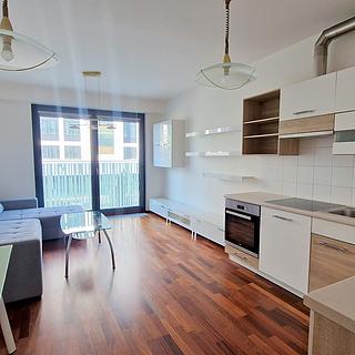 Pronájem bytu 2+kk 55 m² Praha Žižkov, Olšanská