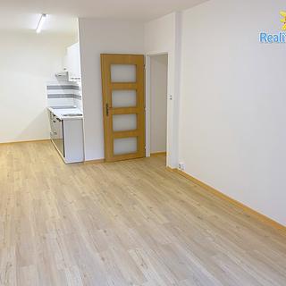 Pronájem bytu 2+kk 49 m² Praha