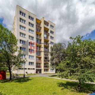 Pronájem bytu 1+kk, garsoniery 29 m² České Budějovice