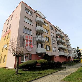 Pronájem bytu 1+1 41 m&sup2; Veselí nad Lužnicí