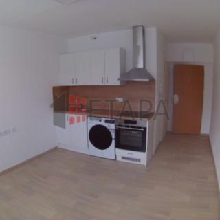 Pronájem bytu 1+kk a garsoniéry 20 m² České Budějovice 3, Puklicova