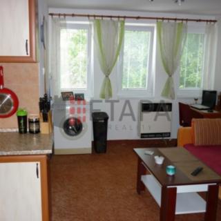 Pronájem bytu 1+kk a garsoniéry 19 m² České Budějovice 7, Matice školské