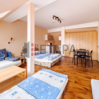 Prodej hotelu a penzionu 382 m² Ražice