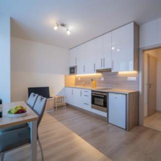 Pronájem bytu 1+kk a garsoniéry 27 m² České Budějovice 7, Lidická tř.