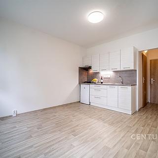 Pronájem bytu 1+kk, garsoniery 21 m&sup2; České Budějovice