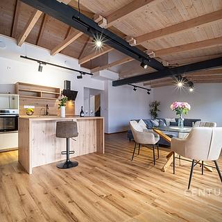 Pronájem bytu 3+kk 135 m² Srubec Stará Pohůrka, Dolní